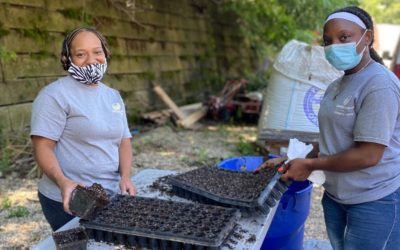 Partner Spotlight: Growing Home