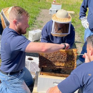 Bee Keeping - square Two women working in a raised garden bed.